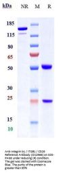 Anti-Integrin b1 / ITGB1 / CD29 Reference Antibody (OS2966)