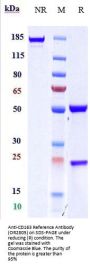 Anti-CD163 Reference Antibody (OR2805)