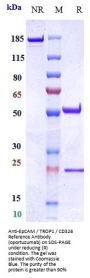 Anti-EpCAM / TROP1 / CD326 Reference Antibody (oportuzumab)