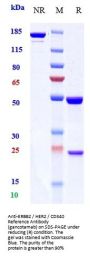 Anti-ERBB2 / HER2 / CD340 Reference Antibody (gancotamab)