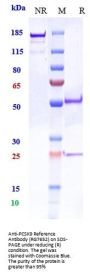 Anti-PCSK9 Reference Antibody (RG7652)
