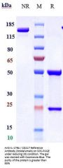 Anti-IL-17Ra / CD217 Reference Antibody (brodalumab)