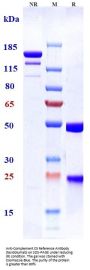 Anti-Complement C5 Reference Antibody (tesidolumab)