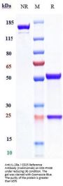 Anti-IL-2Ra / CD25 Reference Antibody (Inolimomab)