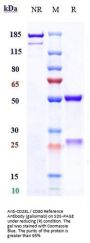 Anti-CD28L / CD80 Reference Antibody (galiximab)