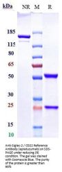 Anti-Siglec-2 / CD22 Reference Antibody (epratuzumab)