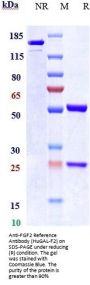 Anti-FGF2 Reference Antibody (HuGAL-F2)