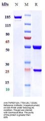 Anti-TNFRSF10A / TRAILR1 / CD261 Reference Antibody ( mapatumumab)