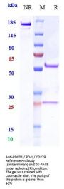 Anti-PDCD1 / PD-1 / CD279 Reference Antibody (zimberelimab)