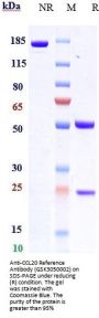 Anti-CCL20 Reference Antibody (GSK3050002)