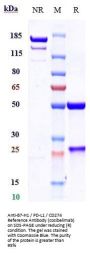 Anti-B7-H1 / PD-L1 / CD274 Reference Antibody (cosibelimab)