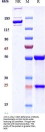 Anti-IL-2Ra / CD25 Reference Antibody (basiliximab)