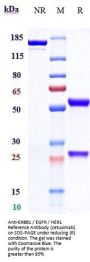 Anti-ERBB1 / EGFR / HER1 Reference Antibody (cetuximab)