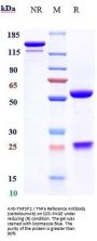 Anti-TNFSF2 / TNFa Reference Antibody (certolizumAb)
