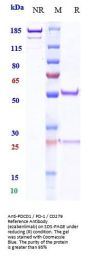 Anti-PDCD1 / PD-1 / CD279 Reference Antibody (ezabenlimab)