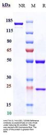 Anti-TIM-3 / HAVCR2 / CD366 Reference Antibody (Surzebiclimab)