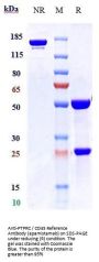 Anti-PTPRC / CD45 Reference Antibody (apamistamab)