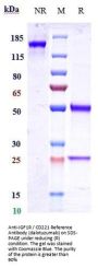 Anti-IGF1R / CD221 Reference Antibody (dalotuzumab)