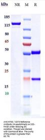 Anti-NT5E / CD73 Reference Antibody (mupadolimab)