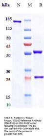 Anti-F3 / Factor III / Tissue Factor / CD142 Reference Antibody (TNX-832)