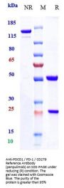 Anti-PDCD1 / PD-1 / CD279 Reference Antibody (penpulimab)