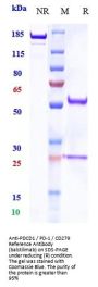 Anti-PDCD1 / PD-1 / CD279 Reference Antibody (balstilimab)