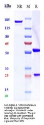 Anti-Siglec-3 / CD33 Reference Antibody (vadastuximab talirine)