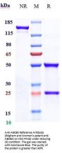 Anti-ABCB5 Reference Antibody (Brigham and Women's patent anti-ABCB5)