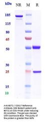Anti-BST2 / CD317 Reference Antibody (SBI Biotech patent anti-BST2)