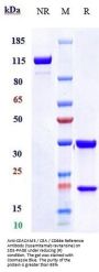 Anti-CEACAM5 / CEA / CD66e Reference Antibody (tusamitamab ravtansine)