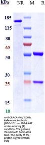 Anti-CEACAM6 / CD66c Reference Antibody (NEO-201)