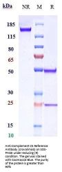 Anti-Complement C5 Reference Antibody (crovalimab)