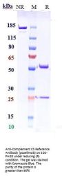 Anti-Complement C5 Reference Antibody (pozelimab)
