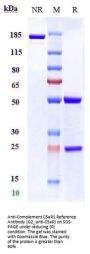 Anti-Complement C5aR1 Reference Antibody (G2_anti-C5aR)