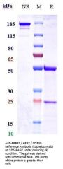 Anti-ERBB2 / HER2 / CD340 Reference Antibody (coprelotamab)