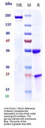 Anti-FOLH1 / PSMA Reference Antibody (rosopatamab tetraxetan)