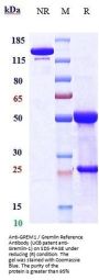 Anti-GREM1 / Gremlin Reference Antibody (UCB patent anti-Gremlin-1)