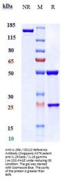 Anti-IL-2Rb / CD122 Reference Antibody (Singapore ASTR patent anti-IL-2R beta / IL-2R gamma)