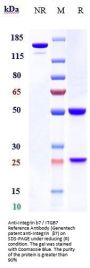 Anti-Integrin b7 / ITGB7 Reference Antibody (Genentech patent anti-Integrin β7)