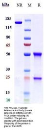 Anti-KIR2DL1 / CD158a Reference Antibody (Innate patent anti-KIR2DL)