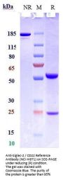 Anti-Siglec-2 / CD22 Reference Antibody (NCI m971)