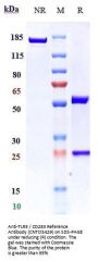 Anti-TLR3 / CD283 Reference Antibody (CNTO5429)