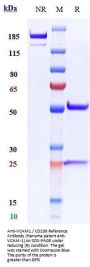 Anti-VCAM1 / CD106 Reference Antibody (Hanwha patent anti-VCAM-1)
