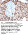 TROP2 Monoclonal Antibody AE00187