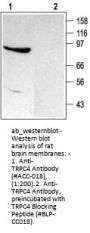 Anti-TRPC4