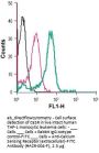 Anti-Calcium Sensing Receptor (ext.)-FITC