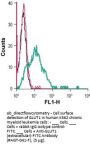 Anti-GLUT1 (extracellular)-FITC