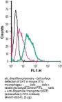 Anti-Dopamine Transporter (DAT) (ext)-FITC