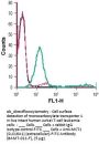 Anti-Monocarboxylate Transporter 1 (ext.)-FITC