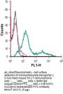 Anti-Monocarboxylate Transporter 1 (ext.)-FITC